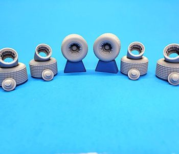 STS_12 STS_12